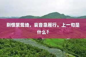 别恨繁鸳绮，哀音急雁行。上一句是什么？