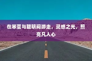 在笨蛋与聪明间游走，灵感之光，照亮凡人心