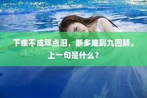 下疾不成双点泪，断多难到九回肠。上一句是什么？