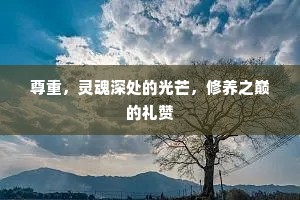 尊重，灵魂深处的光芒，修养之巅的礼赞