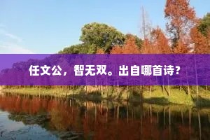 任文公，智无双。出自哪首诗？