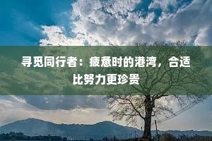 寻觅同行者：疲惫时的港湾，合适比努力更珍贵