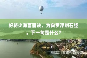 好将少海菖蒲诀，为向罗浮刻石经。下一句是什么？