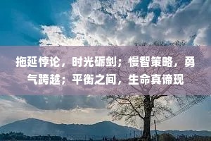 拖延悖论，时光砺剑；慢智策略，勇气跨越；平衡之间，生命真谛现