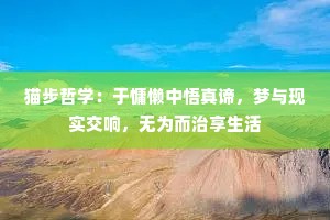 猫步哲学：于慵懒中悟真谛，梦与现实交响，无为而治享生活