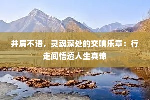 并肩不语，灵魂深处的交响乐章：行走间悟透人生真谛