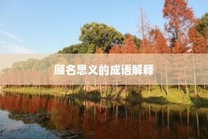 顾名思义的成语解释