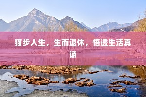 猫步人生，生而退休，悟透生活真谛
