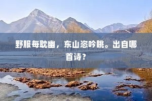 野服每耽幽，东山恣吟眺。出自哪首诗？
