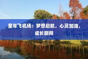 童年飞机场：梦想启航，心灵加油，成长翱翔