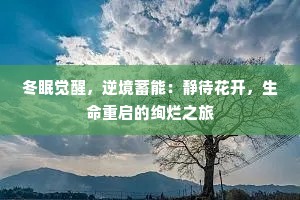 冬眠觉醒，逆境蓄能：静待花开，生命重启的绚烂之旅
