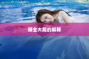 顾全大局的解释
