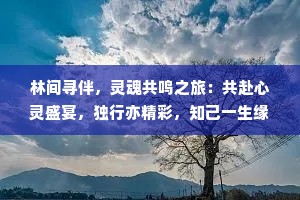 林间寻伴，灵魂共鸣之旅：共赴心灵盛宴，独行亦精彩，知己一生缘