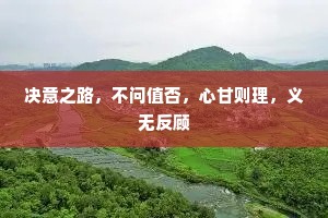 决意之路，不问值否，心甘则理，义无反顾