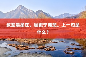 叔辈晨星在，顾瞻宁弗悲。上一句是什么？