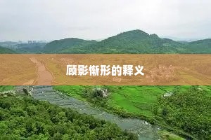 顾影惭形的释义