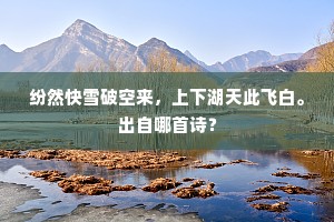 纷然快雪破空来，上下湖天此飞白。出自哪首诗？