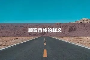 顾影自怜的释义