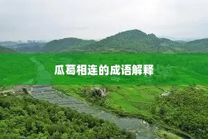 瓜葛相连的成语解释