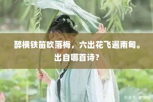 醉横铁笛吹落梅，六出花飞遍南甸。出自哪首诗？