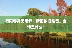 有限春宵无限梦，梦回依旧难留。全诗是什么？