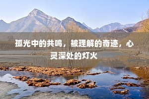 孤光中的共鸣，被理解的奇迹，心灵深处的灯火