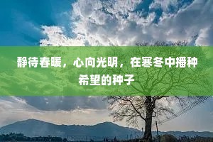 静待春暖，心向光明，在寒冬中播种希望的种子