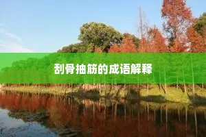 刮骨抽筋的成语解释