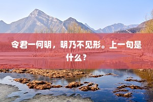 令君一何明，明乃不见形。上一句是什么？