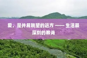 爱，是并肩眺望的远方 —— 生活最深刻的教诲