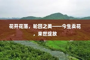 花开花落，轮回之美——今生卖花，来世绽放