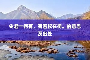 令君一何有，有若权在衡。的意思及出处
