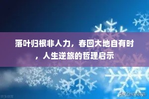 落叶归根非人力，春回大地自有时，人生逆旅的哲理启示