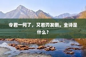 令君一何了，又若刃发硎。全诗是什么？