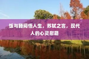 饭与睡间悟人生，苏轼之言，现代人的心灵慰藉