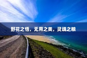 野花之悟，无用之美，灵魂之粮