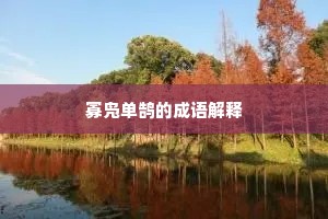 寡凫单鹄的成语解释