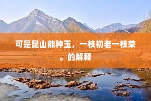 可是昆山能种玉，一枝初老一枝荣。的解释