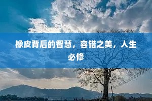 橡皮背后的智慧，容错之美，人生必修