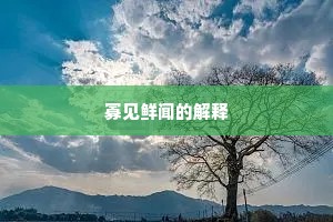 寡见鲜闻的解释