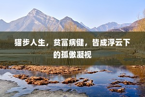 猫步人生，贫富病健，皆成浮云下的孤傲凝视