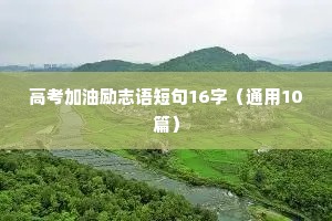 高考加油励志语短句16字（通用10篇）