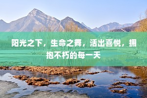 阳光之下，生命之舞，活出喜悦，拥抱不朽的每一天