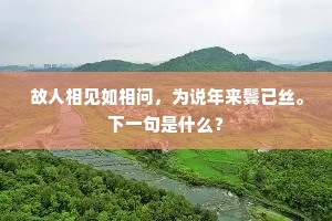 故人相见如相问，为说年来鬓已丝。下一句是什么？