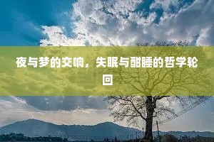 夜与梦的交响，失眠与酣睡的哲学轮回