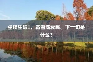 尘埃生破榼，霜雪满衰鬓。下一句是什么？