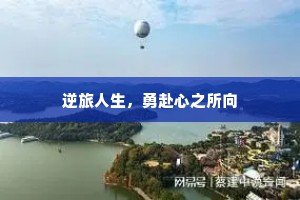 逆旅人生，勇赴心之所向
