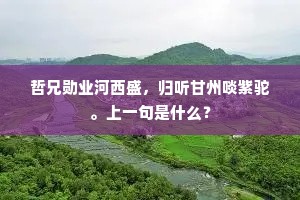 哲兄勋业河西盛，归听甘州啖紫驼。上一句是什么？