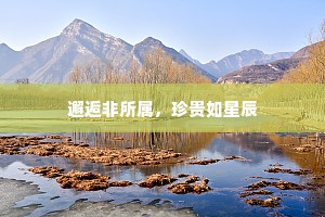 邂逅非所属，珍贵如星辰