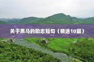 关于黑马的励志短句（精选10篇）